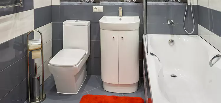 Hansgrohe Shaving Mirror Iowa City