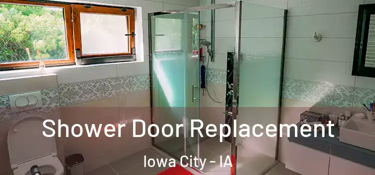 Shower Door Replacement Iowa City - IA